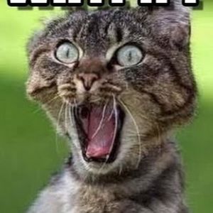 Meet your Posher, Jamar